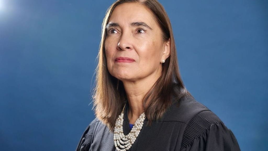 Anita Earls against the world